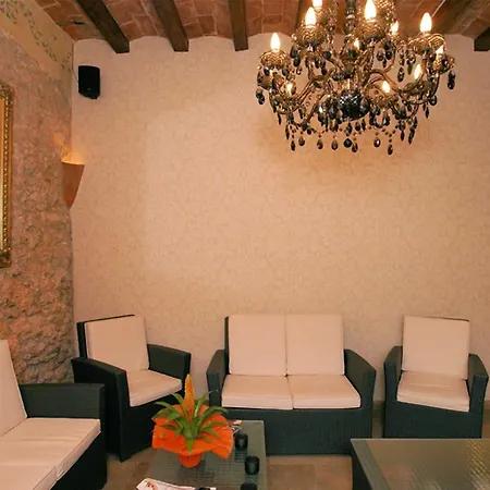 Parrots シッチェス