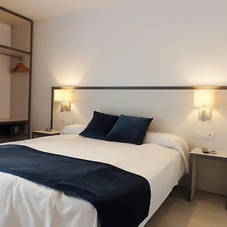 Parrots シッチェス