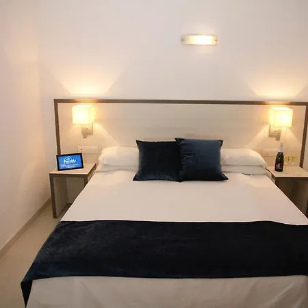 Parrots シッチェス