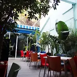 Parrots 3* Сіджас