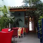 Готель Parrots 3*