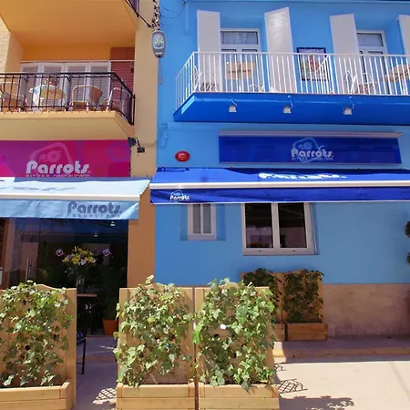 Hotell Parrots