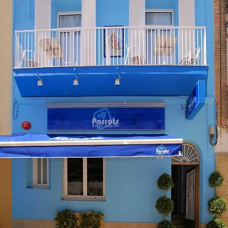 Parrots Sitges