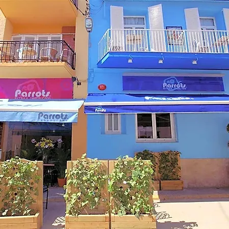 Parrots 3* Sitges
