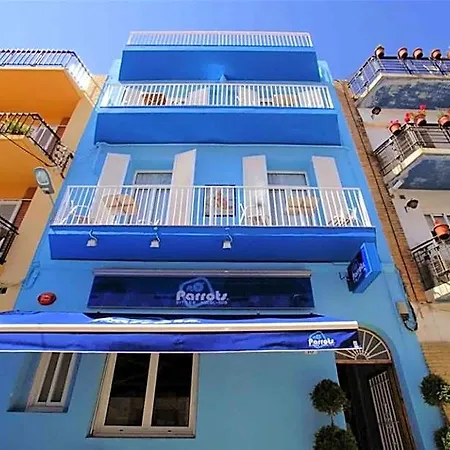 Parrots Sitges