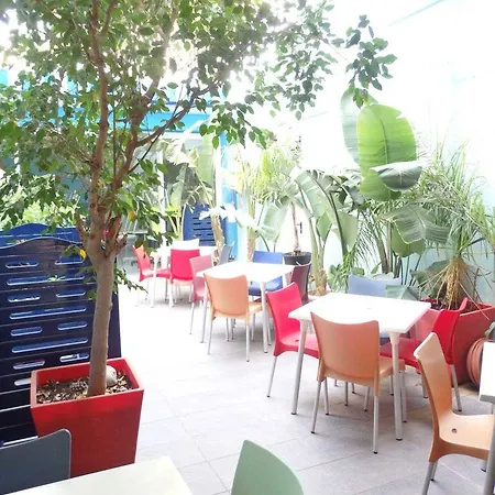 Parrots 3* Sitges