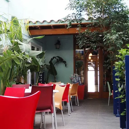 Hotel Parrots 3*