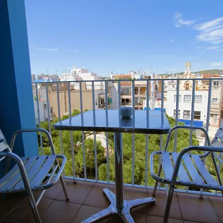 Parrots Hotell