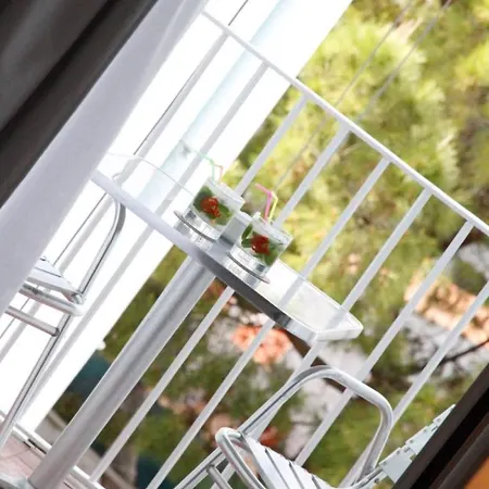 Parrots Hotell 3*