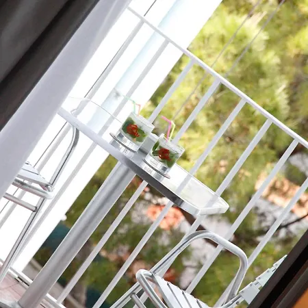 Parrots Hotel 3*